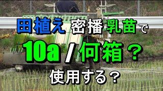 省力田植え・・欠株少なく密播の乳苗で10a当たり苗箱何枚使うのか・・？