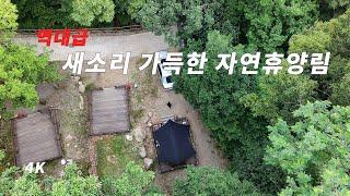 추천으로 다녀온 역대급 새소리 가득한 태학산 자연휴양림 캠핑. 한끼