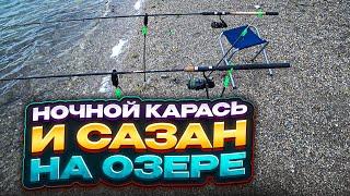 НОЧНОЙ КАРАСЬ и САЗАН на ОЗЕРЕ