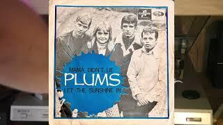 Plums - Mama didn´t lie, Let the sunshine in (SP RIP)