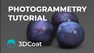 3DCoat Short Photogrammetry Tutorial - Create 3D Models with the Help of RealityCapture inside!