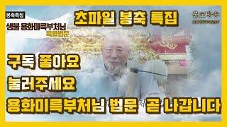 안양 수리산 용화사 봉축행사. 사바세계에 오신 생불 용화미륵부처님 특별 법문 곧 나갑니다