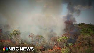 Record number of fires rage across South America