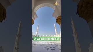 Go'zal Nashida. #nashidalar #shorts