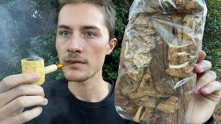 Smoking Nicotiana Rustica for the First Time (Strongest Tobacco in the World)