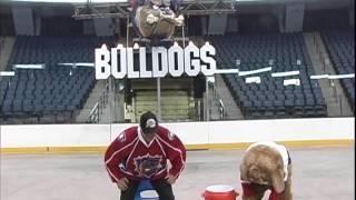 Hamilton Bulldogs Owner Michael Andlauer accepts the ALS #IceBucketChallenge