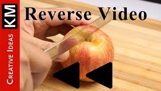 Amazing Reverse Video