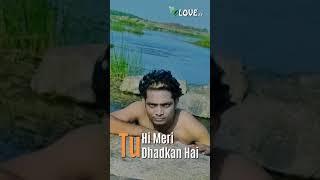 photo song## short video