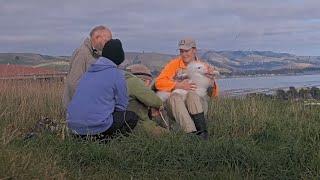 DOC Rangers Band And Tag Northern Royal Albatross Chicks Across The Colony – Aug. 9, 2024