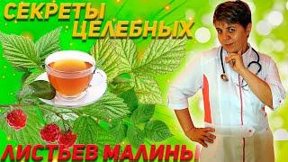 Малина. Чай из листьев малины.