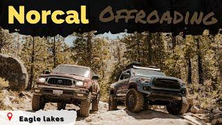 NorCal Off-roading at Eagle Lakes | Offroad Trail Review in The Tacoma EP: 3