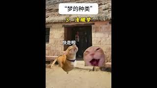 逝者梦是多少人求之不得的啊… #故事 #貓 #猫猫meme小剧场 #猫meme #内容过于真实 #猫meme小剧场 #猫meme剧场 #喵不可言 #shorts