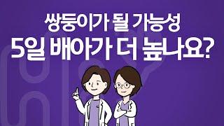 시험관 시술 Q&A | 5일 배아가 쌍둥이 될 가능성이 더 높나요?