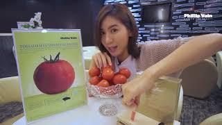 Tomato Illuminating Facial  by Pauline Tan