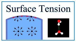 Surface Tension of Water Explained