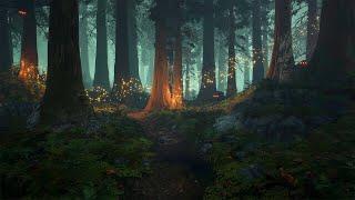 Enchanted Forest - Music & Ambience 