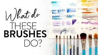 The unofficial manual for every watercolor brush