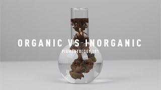 Organic Vs Inorganic Pigments | Pigmentology 101