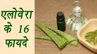 Aloe Vera, एलोवेरा | Health benefits | एलोवेरा के फायदे | Boldsky