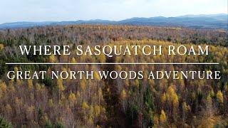 Where Sasquatch Roam : The Great North Woods Adventure