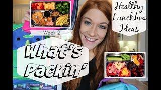 Healthy Lunchbox Ideas! What's Packin'?! (Week 2)