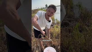 七八兩肯定有，最主要今天抓多少都是我們的#fishing #農村生活#viralvideo #捕魚 #熱門