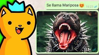 ADOPTA UN PERRO  (Conversaciónes Randoms en WhatsApp)