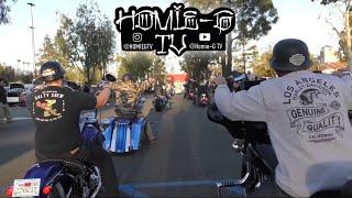 Motorcycles Motorcycles Motorcycles COMPILATION California Style!