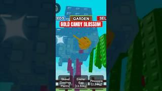 Buying Divine Candy Blossom and Getting Gold! Grow a Garden Roblox