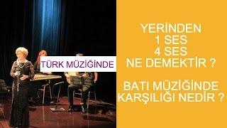 Türk Müziğinde 1 Ses, 4 Ses Nedir Batı Müziğinde Karşılığı Nedir ?