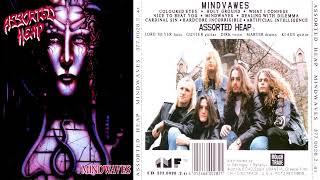 Assorted Heap | Germany | 1992 | Mindwaves | Full Album | Death Thrash Metal | Rare Metal Album