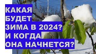 Какая будет зима и когда она начнется в 2024 году? What kind of winter will it be and when will it