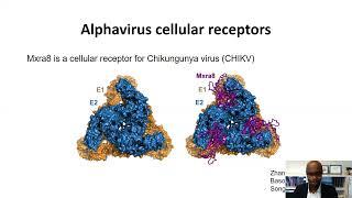 Keynote Presentation  Lipoprotein Receptors are Evolutionarily Conserved Cellular Receptors for...