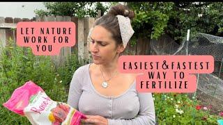 Easiest way to fertilize your garden #gardening #flowerfarm #zone9 #planting #farmergirl