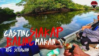 Casting Siakap Sitiawan Baling makan