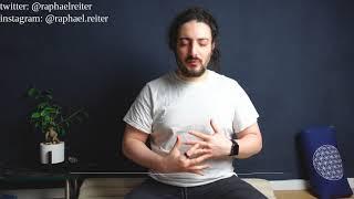 Self-transcendence with vibration - Daily guided meditations with Raphael Reiter