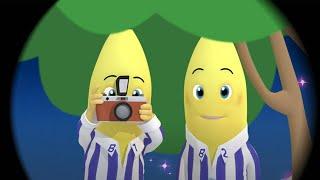 The Pen Pal | Bananas In Pyjamas