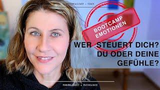 Gefühle steuern mit Fokus. Bootcamp Emotionen Teil 1