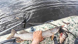 ПРОВЕРКА СЕТЕЙ В ПОЛОВОДЬЕ. РЫБАЛКА НА СЕТИ, СНИМАЕМ УЛОВ РЫБЫ. Лодка  X-River Rocky 375 НДВД.
