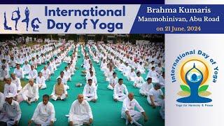 International Day of Yoga 2024 | Brahma Kumaris Manmohinivan, Abu Road @brahmakumaris