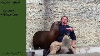 Seal Show - zoo Hellabrunn