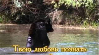 Караоке.*Жизнь посвящаю Тебе*христианские песни и гимны.