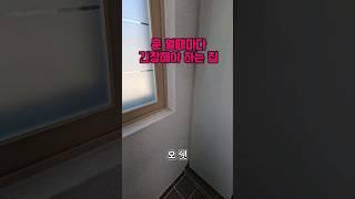 문열때마다 긴장해야하는 집 #구미원룸 #원룸월세#자취방구하기 #원룸인테리어 #원룸대학