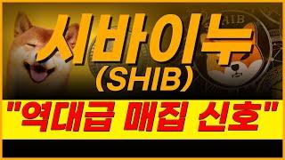 🟠시바이누, [속보] 초대형 잭팟이 터집니다 ▶ 버틴 사람이 승리한 이유. 뭐냐면요