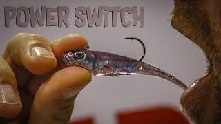 The NEW Berkley PowerBait Power Switch w/ John Hoyer