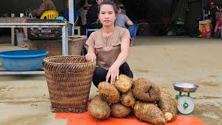 Dig Potatoes And Bring Them To The Market To Sell To Buy Food - Farm and New Life Lương Thị Châm