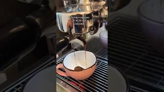 Perfect espresso homebarista