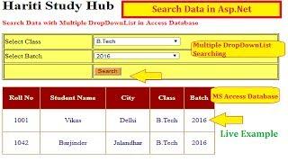 Search Data with Multiple DropDownList Control in Asp.Net C# | Hindi | MS Access Database