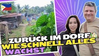 Zurück in die Provinz: Familientreffen und Überraschung für die Nichte  #auswandern #philippinen