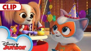 Bitsy's Loses Mr. Greenie | SuperKitties |  @disneyjr​